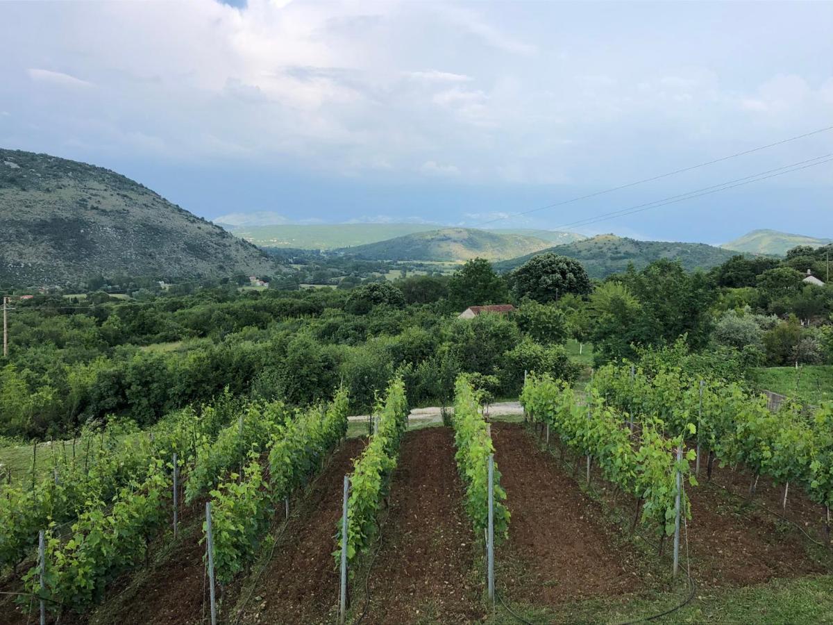 Green Silence - Iva Danilovgrad Екстериор снимка